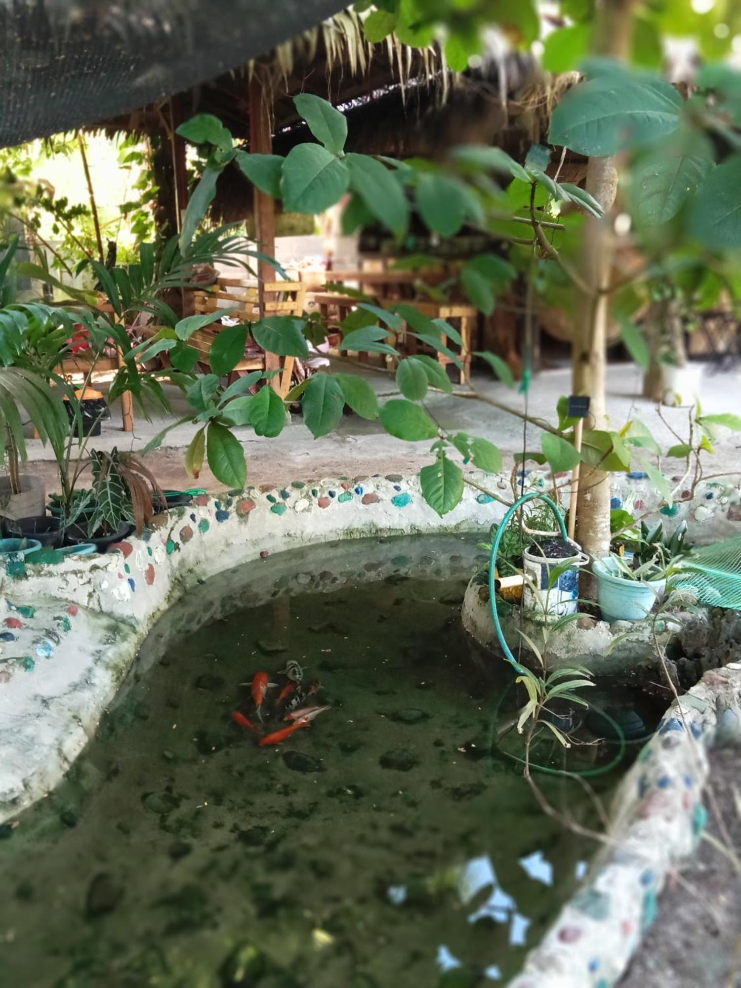 Weeroona Huts Homestay Pacifico San Isidro  외부 사진