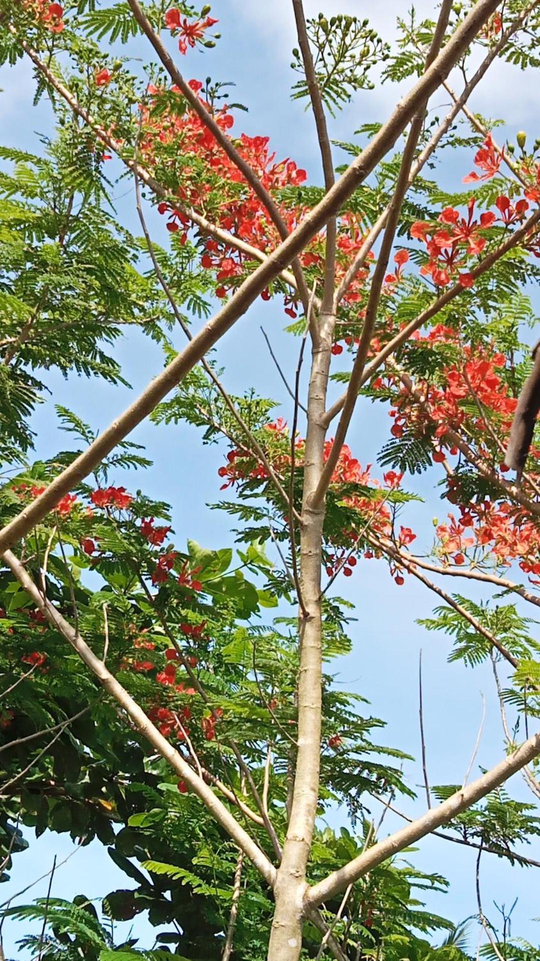 Weeroona Huts Homestay Pacifico San Isidro  외부 사진